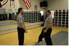 Tae Kwon Do, weight loss, exercise, aikido!