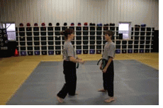 self defense, martial arts training, mma!